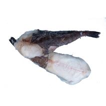 Monkfishmonkfish2.jpg