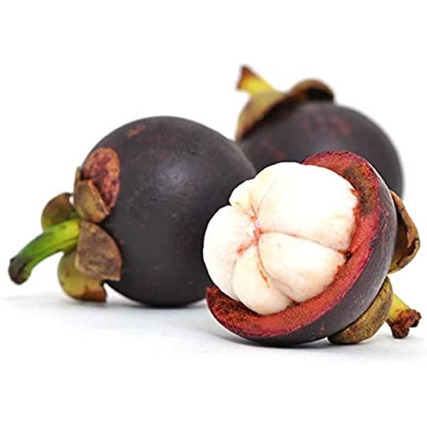 MangosteenMangosteen.jpg