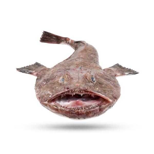 Monkfishmonkfish-1.png