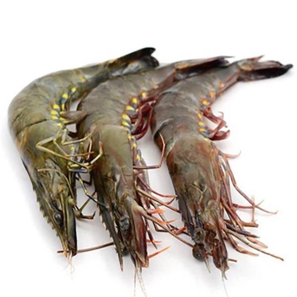 Prawnprawn.jpg